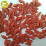 Amorberry Bulk OEM Certificated Chinese Goji Berry Dried Fruit Goji Berries/Goji