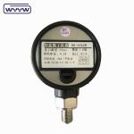 12 Months Digital Pressure Gauge with 5-digit Display Analog Beam Indicator