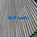 BA Surface ASME SA790 2205 Duplex Stainless Steel Seamless Tube