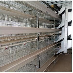 China H Type 128 Birds 4 Layer Battery Cage Poultry Farming Equipment factory