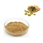 Rhodiola Rosea PE Plant Extracted Powder Chinese Medicine