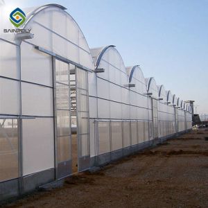 China 12m Polycarbonate Greenhouse Hydroponic Growing Systems on sale