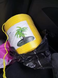 China 100% Virgin Polypropylene Banana Hanging Twine Fruit Tying 500m/Kg 400m/Kg factory