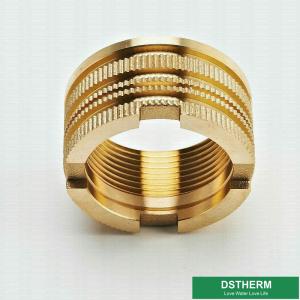 China Italy Designs Customized Designs Precise Designs Female Brass Inserts For Ppr Fittings factory