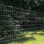 New products sell like hot cakes hot dip galvanized farm fence welded wire mesh