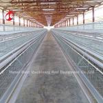 Customized Layer Chicken Cage , Q235 Low Carbon Steel Poultry Battery Cage Doris