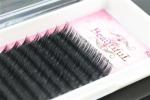 Professional Semi Permanent Eyelash Extensions , Salon Individual Eyelashes B
