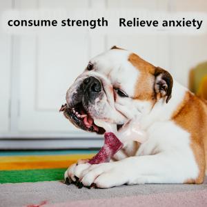 China French Bulldogs Nylon Bone Chew Toys Simulated Bone Molar Stick Bite Resistant factory
