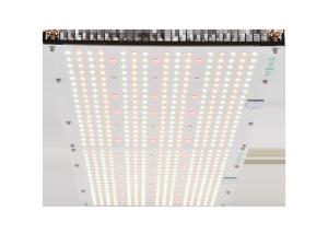 China Quantum Board 2.5umol/J 240W High PPFD Grow Light factory
