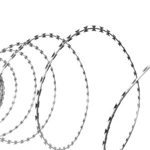China Modern Design Razor Wire Fence Stainless Steel Material Aging Resistant factory