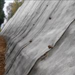 High Flexural Strength Cement Canvas for Deformation Adaptation in Heat