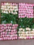 Best sell Wedding Decorative PU Real Touch Tulip Rose Flowers Tulips Artificial