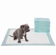 China PE Pet Urine Pad Eco Friendly Genebest 36x36 Pee Pads factory
