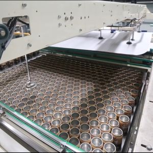 China Fully Automatic High Speed Vision-Guided Depalletizing factory