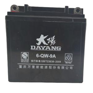 China 12V Black DAYANG Motorcycle Battery 9A OEM Enterprise Member Material Accumulator factory