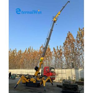 Yellow Color Engine Type 3ton Construction Mini Spider Crane With Fly Jib