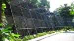 aviary mesh for Medium Pet Birds
