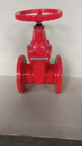 China (ANSI) Cast Iron Gate Valve Flanged Ends factory