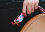 Safety Pet Car Seatbelt Dog Wearing Seatbelt For Middle Seat