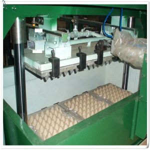 Nanya1000Pcs/h Semi Automatic Fully Automatic Paper Egg Tray Machine /Pulp