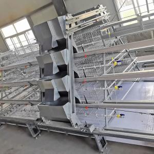 China 4 Tiers Baby Chick Cage factory