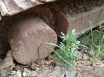 JCB JS220LC Second Hand Excavator Diesel Engine Euro II 129kw