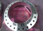 304 / 316 Forged Weld Neck Pipe Flanges WN RTJ Flanges PN20 - PN420