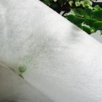30gsm Water Soluble Non Woven Fabric / Dissolving Embroidery Fabric For Textile