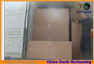 China North Husbandry -Poultry Farm Evaporative Cooling Pad factory