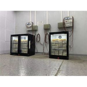 Bar Beverage Fridge Back Bar Bottle Cooler With Compressor