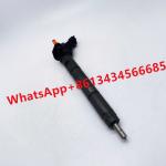Common Rail Bosch Fuel Injector For Car 0445116059 ISO 9001