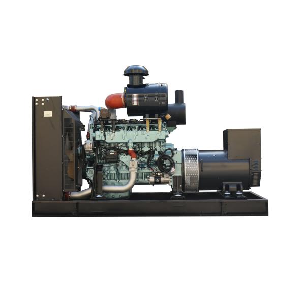 Affordable 150kw 200kw Biogas Natural Gas Generator with Electrical Start and