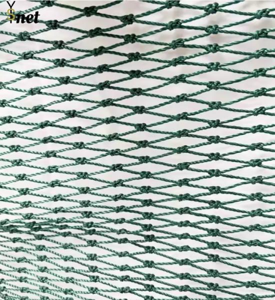 High Strength HDPE Green Multifilament Pe Fish Net Twist Knotted Polyethylene