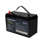 1kw Renewable Energy EVE Lithium Ion Battery Pack 12V Lifepo4 Battery 100ah