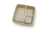diaposable paper pulp take away food fruit contianer lunch box