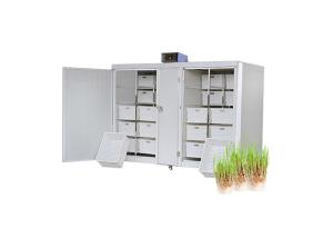 China 250kg/d Commercial Seed Germination Machine Automatic Bean Seed Sprout Machine factory