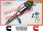 Factory Outlet OEM Quality Brand New Diesel Fuel Injector Y431K05558 Y431K05417