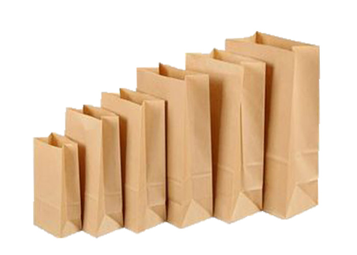 Recyclable White Or Brown Kraft Paper Bag Reusable 7 Colors Custom Logo Printed