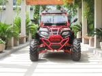 250cc 2X4 Gas Utility Vehicles Led Light Double A - Arm Suspension