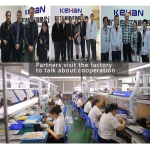 Customized OEM Automotive Wire Assembly Loom for Engine Sensor Precision