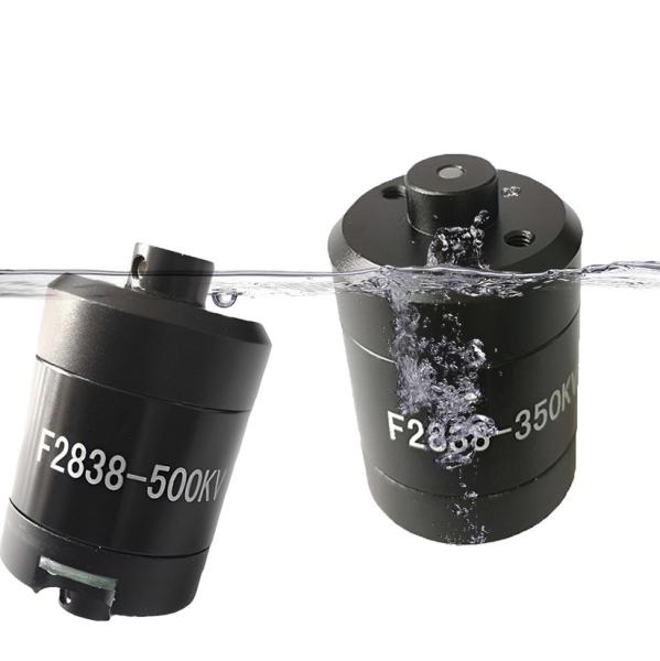 Faradyi Customized F2838 11.1V-14V 350KV BLDC Waterproof Tubular Underwater