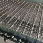 Stainless Steel Roller Chain Driven Conveyor Belt for Food Industry