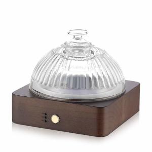 China Glass Wooden Essential Oil Aroma Diffuser ▕ DN-839 factory