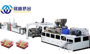 China Twin Screw Automatic Plastic Extruder Machine For PET / PLA / PP / PS Film Sheet / Plate Board factory