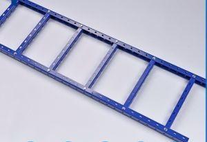 China 1.0-3.0mm Thicknees Electrostatic Powder Coated Large-Span Ladder Cable Tray with Hole factory