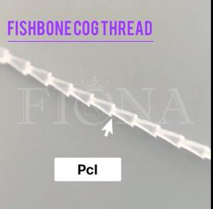 China Absorbable PDO PCL PLACL Molding Cog Thread Anchor / Shark on sale