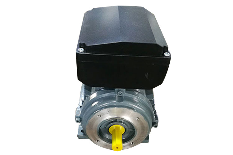 electric motor