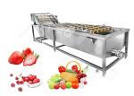 Bubble Type Ozone Vegetable Washing Machine Strawberry Cherry Fruit Washing