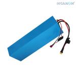 Rechargeable Lithium Ion Electric Bicycle Lithium Battery Phylion Akku Xh25910j