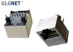 0.2mm IEEE 802.3u 180 Degree Shielded Rj45 Jack For Networking Equipment